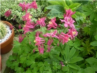 522dd4e7-Picture 5874.jpg